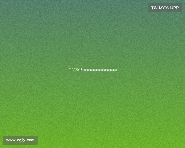 FIFA2018世界杯足球盛宴回顾与经典瞬间全景解析激情记忆